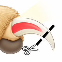 3. Kralle vorsichtig kürzen